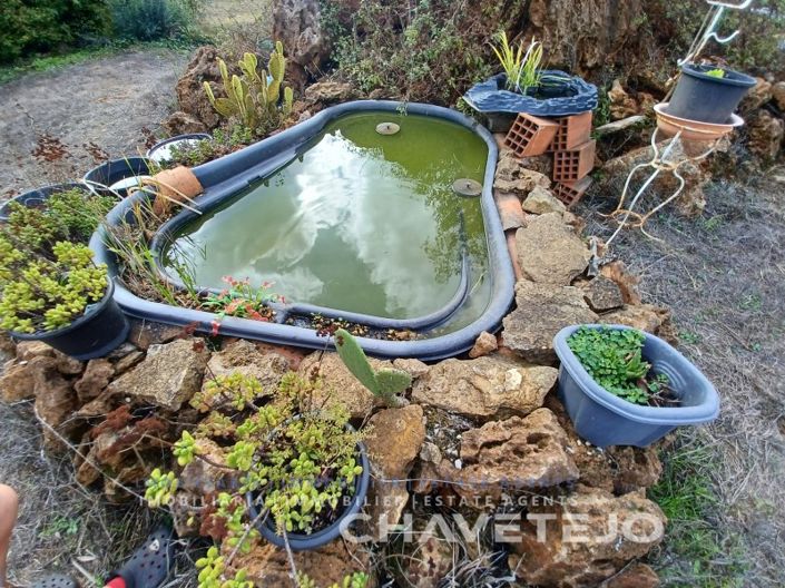 Image No.56-4 Bed House for sale