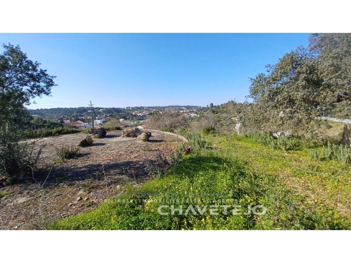 Image No.4-Terrain à vendre à Tomar
