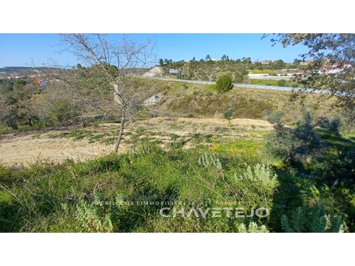 Image No.8-Terrain à vendre à Tomar