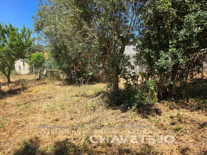 Image No.10-2 Bed Farmhouse for sale