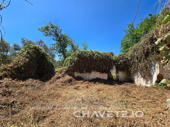 Image No.3-2 Bed Farmhouse for sale