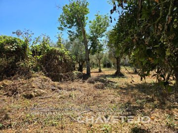 ida6ffaf01-0000-0500-0000-0000173469b5