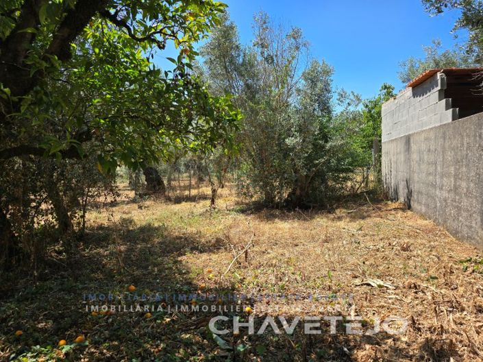 Image No.8-2 Bed Farmhouse for sale