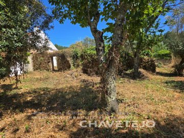 ida6ffaf01-0000-0500-0000-0000173469bc