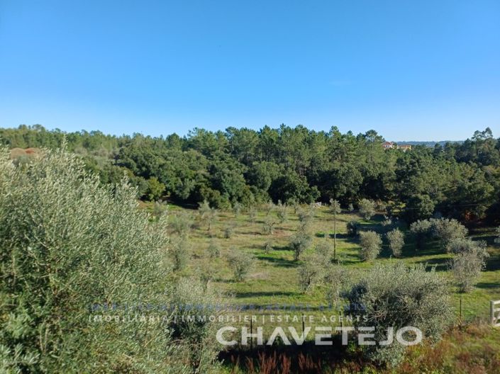 Image No.43-Farmhouse for sale