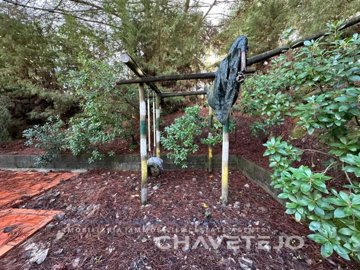 id702cb801-0000-0500-0000-000017da85b6