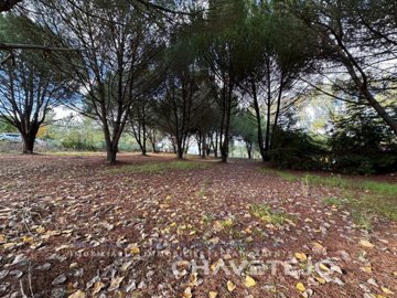 id702cb801-0000-0500-0000-000017da85c4