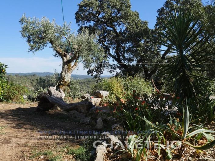 Image No.41-Maison de 3 chambres à vendre à Alvaiázere