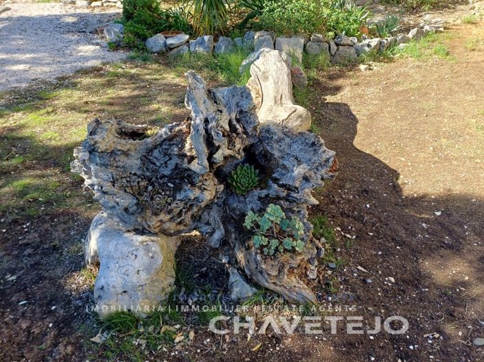 Image No.46-Maison de 3 chambres à vendre à Alvaiázere