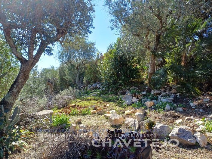 Image No.47-Maison de 3 chambres à vendre à Alvaiázere