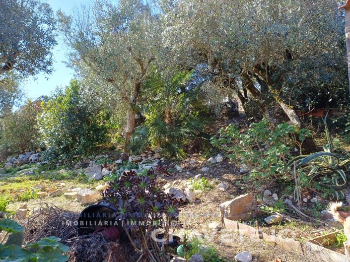 Image No.48-Maison de 3 chambres à vendre à Alvaiázere