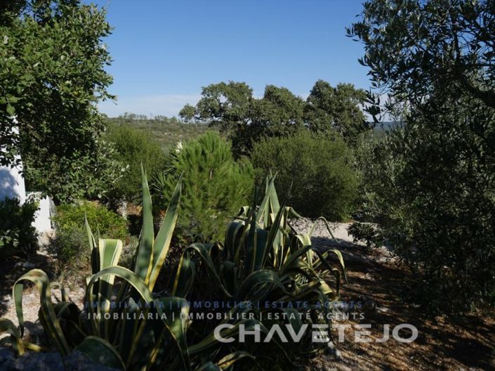 Image No.52-Maison de 3 chambres à vendre à Alvaiázere