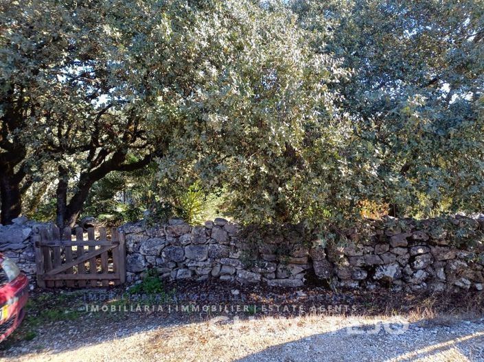 Image No.57-Maison de 3 chambres à vendre à Alvaiázere