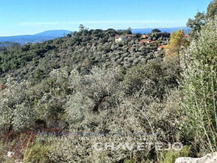 Image No.57-Maison de 3 chambres à vendre à Alvaiázere