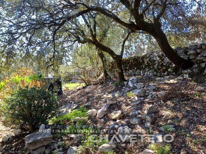 Image No.58-Maison de 3 chambres à vendre à Alvaiázere