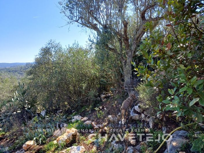 Image No.51-Maison de 3 chambres à vendre à Alvaiázere