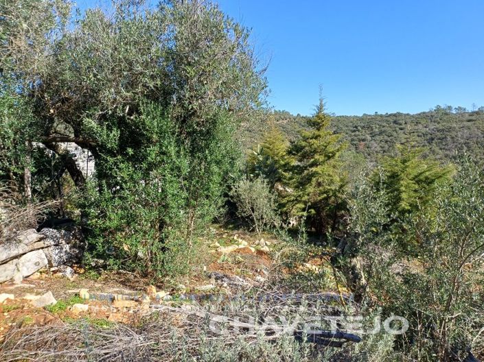 Image No.53-Maison de 3 chambres à vendre à Alvaiázere