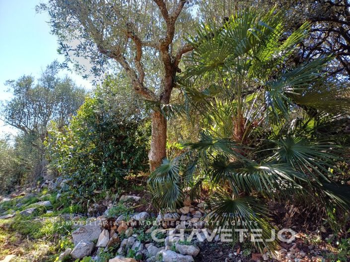 Image No.60-Maison de 3 chambres à vendre à Alvaiázere