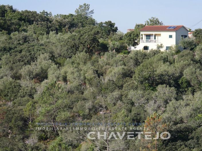 Image No.55-Maison de 3 chambres à vendre à Alvaiázere