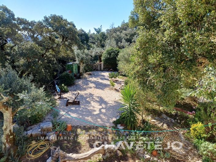 Image No.8-Maison de 3 chambres à vendre à Alvaiázere