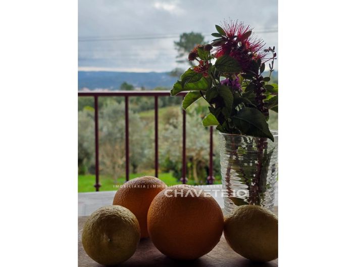 Image No.25-Maison de 3 chambres à vendre à Tomar