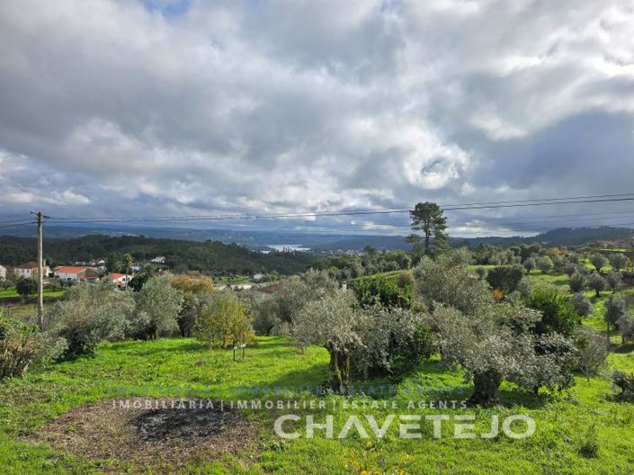 Image No.56-Maison de 3 chambres à vendre à Tomar