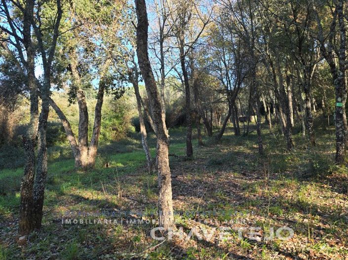 Image No.53-4 Bed House for sale