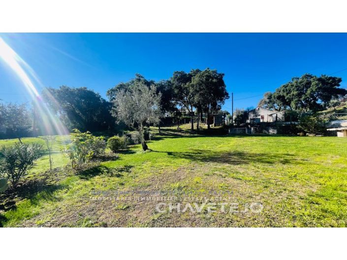 Image No.24-3 Bed House for sale