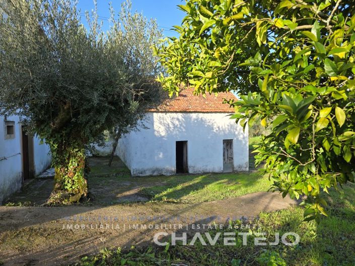 Image No.28-3 Bed House for sale