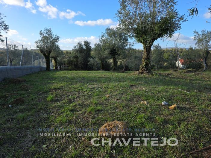 Image No.30-3 Bed House for sale