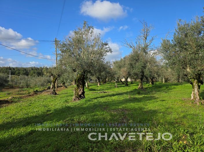 Image No.3-3 Bed House for sale