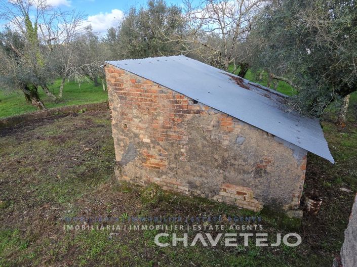 Image No.36-3 Bed House for sale