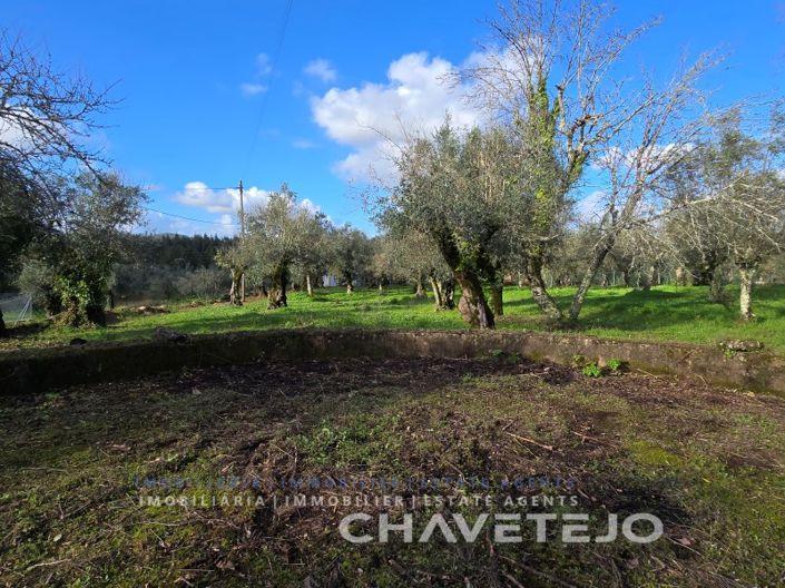 Image No.39-3 Bed House for sale