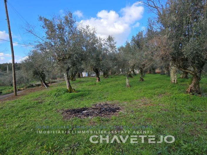 Image No.40-3 Bed House for sale