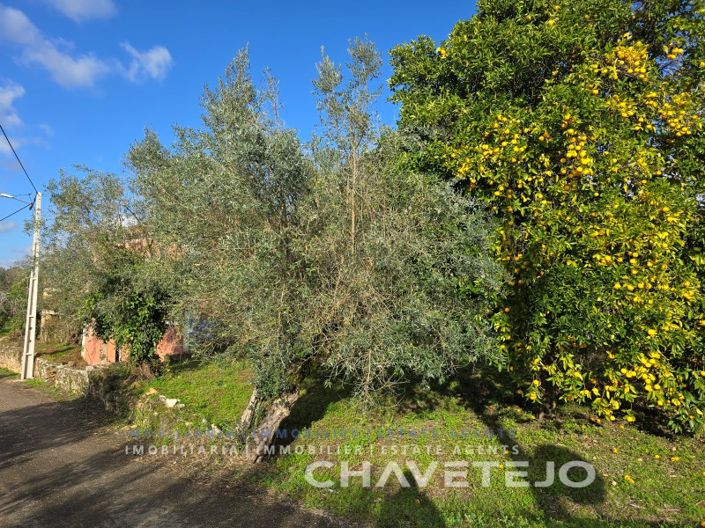 Image No.53-3 Bed House for sale