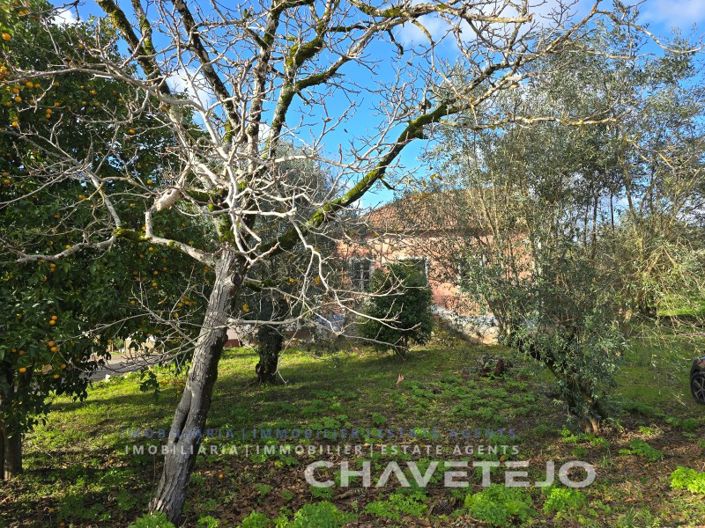 Image No.55-3 Bed House for sale