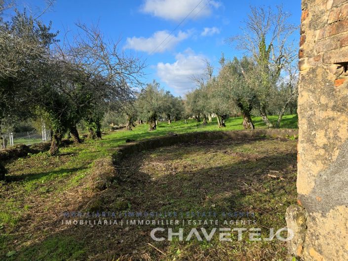 Image No.59-3 Bed House for sale