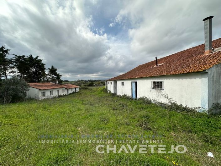 Image No.10-Ferme de 1 chambre à vendre à Torres Novas