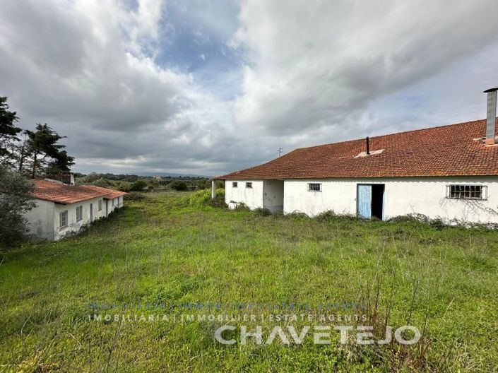 Image No.12-Ferme de 1 chambre à vendre à Torres Novas
