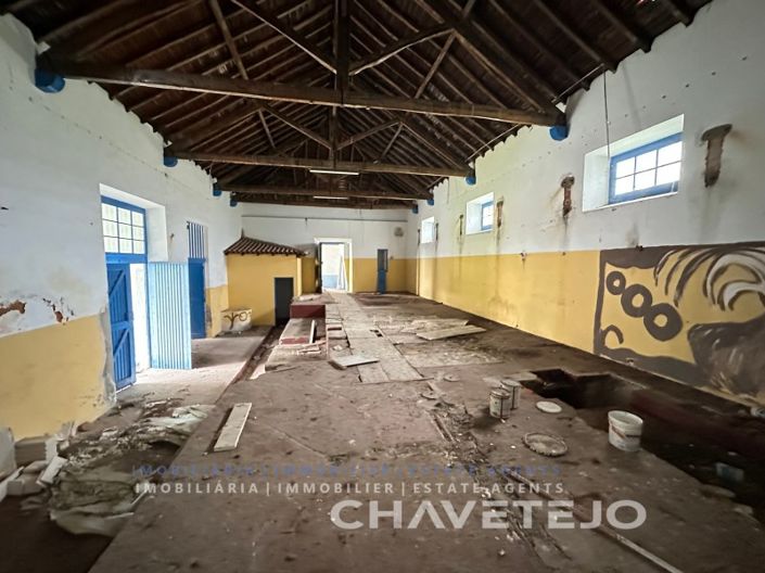 Image No.19-Ferme de 1 chambre à vendre à Torres Novas