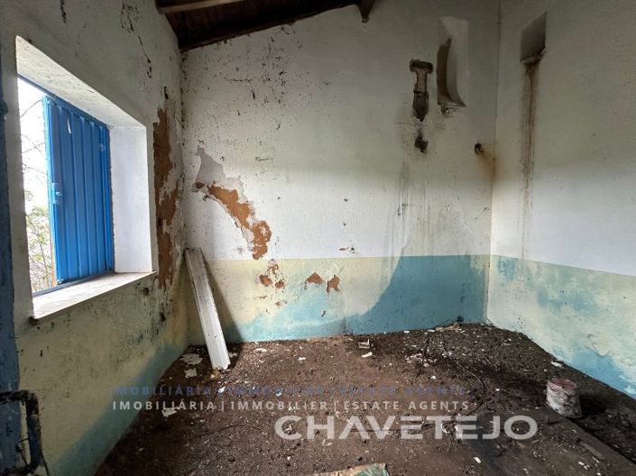 Image No.23-Ferme de 1 chambre à vendre à Torres Novas