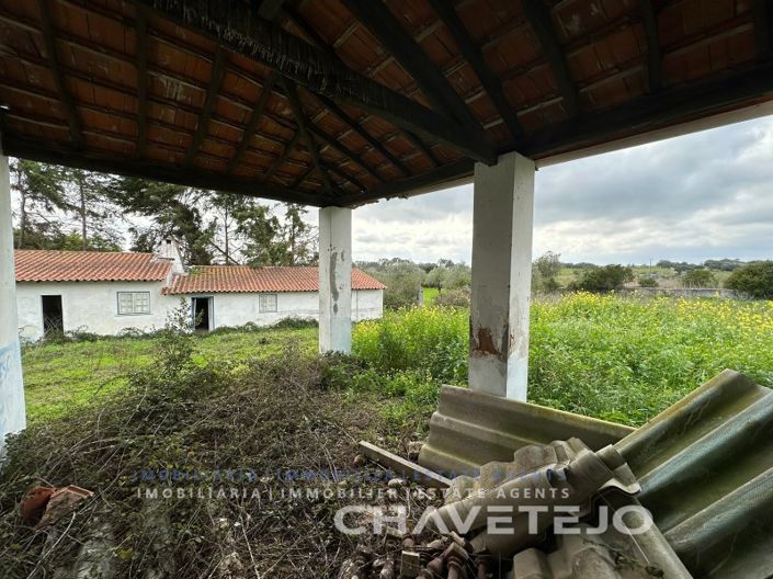 Image No.27-Ferme de 1 chambre à vendre à Torres Novas