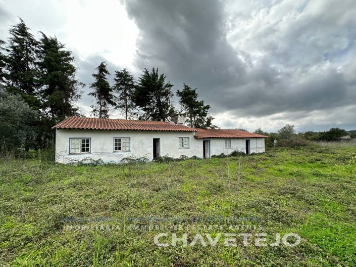 Image No.28-Ferme de 1 chambre à vendre à Torres Novas