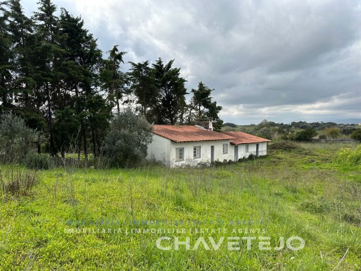 Image No.3-Ferme de 1 chambre à vendre à Torres Novas