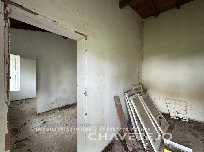 Image No.30-Ferme de 1 chambre à vendre à Torres Novas