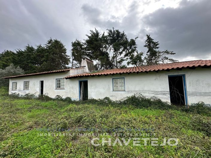 Image No.38-Ferme de 1 chambre à vendre à Torres Novas