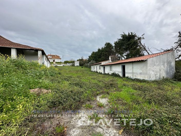 Image No.39-Ferme de 1 chambre à vendre à Torres Novas