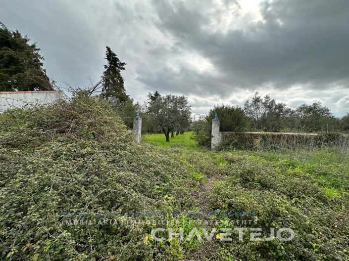 Image No.40-Ferme de 1 chambre à vendre à Torres Novas