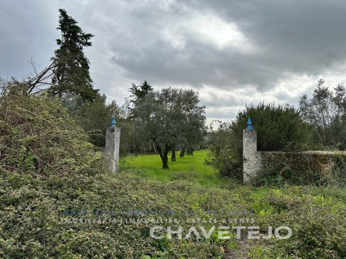 Image No.41-Ferme de 1 chambre à vendre à Torres Novas