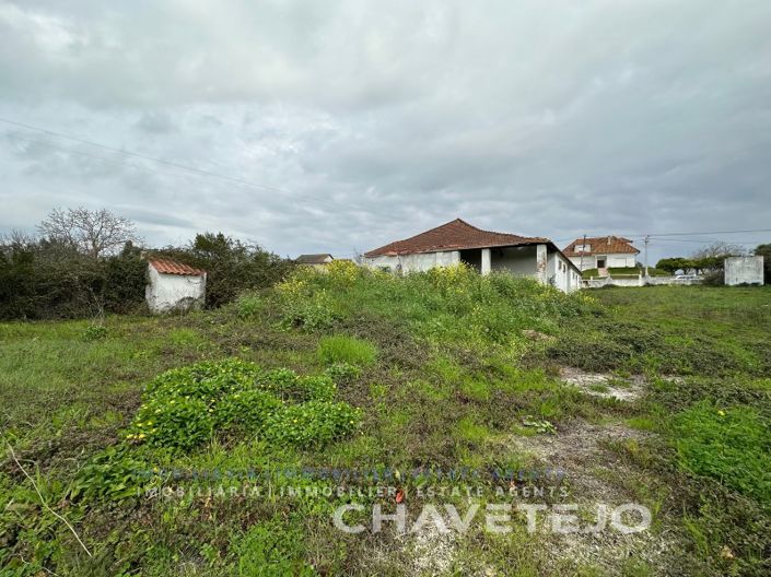 Image No.42-Ferme de 1 chambre à vendre à Torres Novas